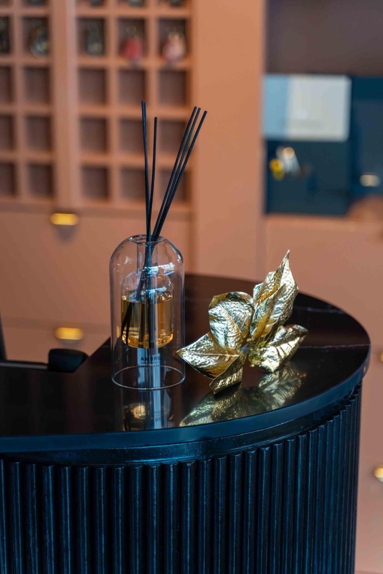 Hotel Et Restaurant Le Regina Le Puy-en-Velay Екстериор снимка